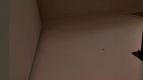 Snapshot of enzo_steel chatting on 11/03/25, 07:37 enzo_steel online show from 11/03/25, 07:37