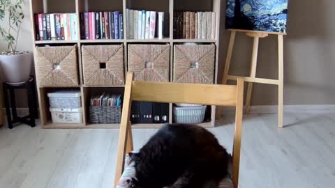 Melissa   online show from 10/01/25, 11:49