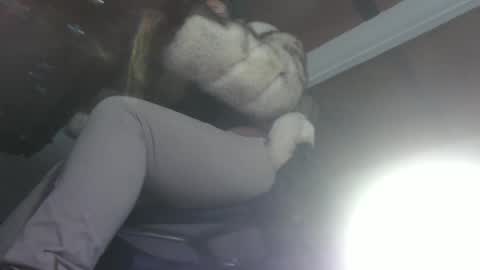 Snapshot of eskelaswd chatting on 02/28/25, 03:26 Eskela911 online show from 02/28/25, 03:26