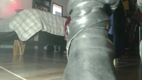 Snapshot of eskelaswd chatting on 10/06/25, 07:44 Eskela911 online show from 10/06/25, 07:44