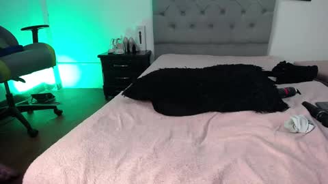 Snapshot of esmeraldaa_sc chatting on 11/12/25, 06:03 Perla online show from 11/12/25, 06:03