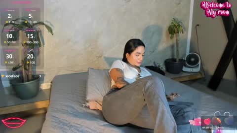 Stefy online show from 02/12/25, 11:51