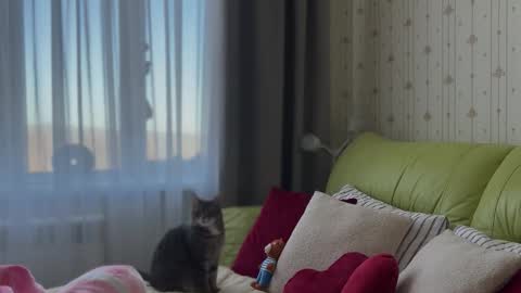 Snapshot of estella_elwood chatting on 02/03/26, 06:22 Estella online show from 02/03/26, 06:22