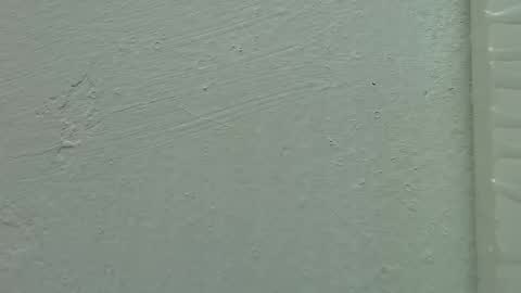 Estrella online show from 02/15/25, 11:50