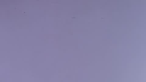 Estrella online show from 10/01/25, 12:00