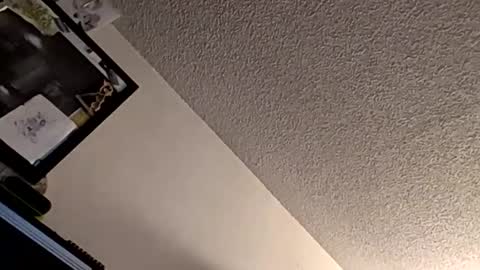 et528007 online show from 11/07/25, 05:07