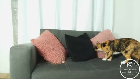 Ethan Muller online show from 04/15/26, 10:55