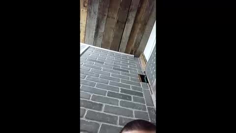 Snapshot of ethanfish600 chatting on 03/03/26, 07:25 ethanfish600 online show from 03/03/26, 07:25