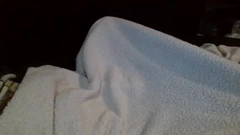 Snapshot of eu369033 chatting on 02/25/26, 08:07 eu369033 online show from 02/25/26, 08:07