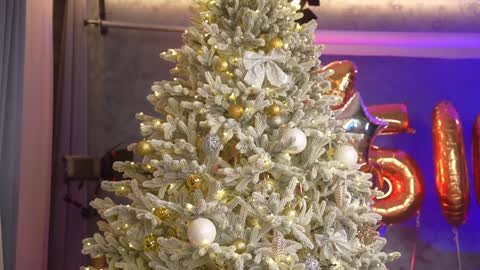 Snapshot of eva_fashionista chatting on 12/28/24, 06:50 Eva online show from 12/28/24, 06:50