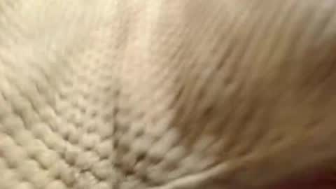 EVA  online show from 12/14/24, 07:29