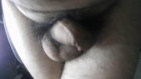 Snapshot of eveline_figeroa3 chatting on 08/08/26, 09:22 eveline_figeroa3 online show from 08/08/26, 09:22