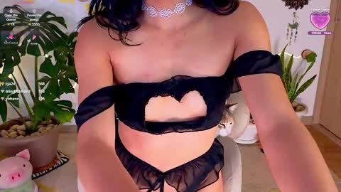 Im Eve or Chelle Next Stream 191224  online show from 03/08/25, 01:06