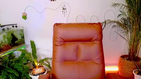 Snapshot of evelyn_chelle chatting on 05/01/26, 11:42 Im Eve or Chelle Next Stream 191224 online show from 05/01/26, 11:42