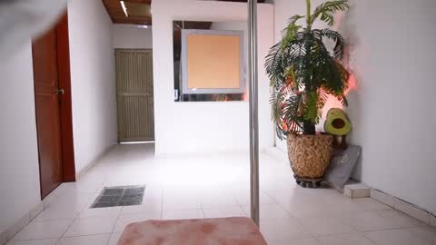 Snapshot of evelyn_evelyn chatting on 04/03/26, 07:01 evelyn evelyn online show from 04/03/26, 07:01