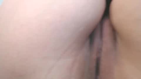 Snapshot of evelyn_sheeran chatting on 04/15/26, 05:36 Julieta online show from 04/15/26, 05:36