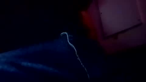 Evocation online show from 02/03/25, 04:57