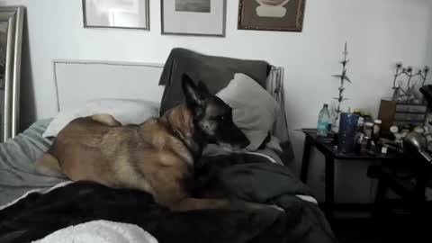 EV Parrish online show from 02/02/25, 04:48