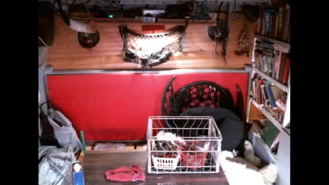 EvPierce online show from 03/30/26, 04:24