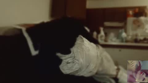 Snapshot of exoticlexi chatting on 09/09/25, 08:08 Exoticlexxii online show from 09/09/25, 08:08