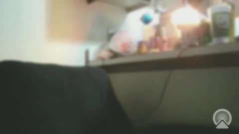 Snapshot of exoticlexi chatting on 02/04/26, 07:14 Exoticlexxii online show from 02/04/26, 07:14