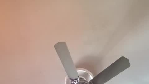 Snapshot of exoticlexi chatting on 04/06/26, 01:01 Exoticlexxii online show from 04/06/26, 01:01