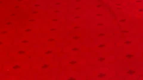 Alana online show from 12/09/24, 12:12