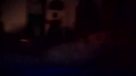 experttreecompany online show from 03/03/26, 12:11