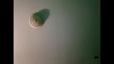 Snapshot of experttreecompany chatting on 03/21/26, 10:31 experttreecompany online show from 03/21/26, 10:31