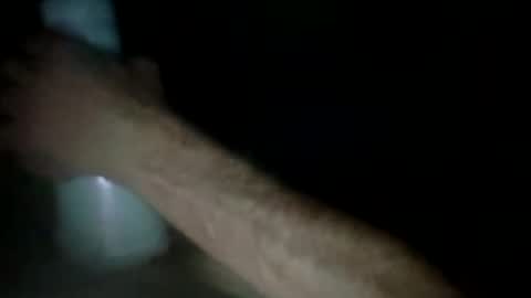 Snapshot of experttreecompany chatting on 03/24/26, 12:32 experttreecompany online show from 03/24/26, 12:32