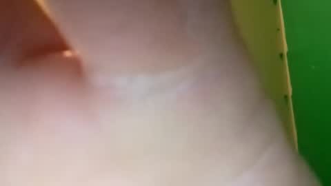 Snapshot of experttreecompany chatting on 04/10/26, 04:55 experttreecompany online show from 04/10/26, 04:55