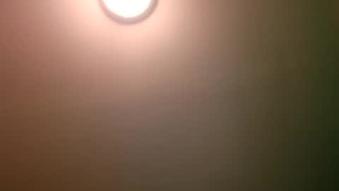 Snapshot of experttreecompany chatting on 04/12/26, 04:17 experttreecompany online show from 04/12/26, 04:17