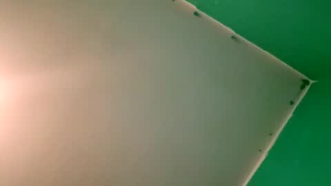 Snapshot of experttreecompany chatting on 04/12/26, 10:26 experttreecompany online show from 04/12/26, 10:26