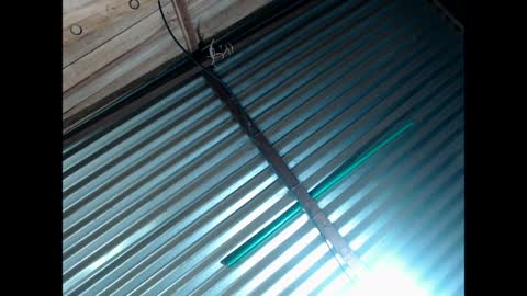 exxclusivo online show from 03/30/26, 06:14