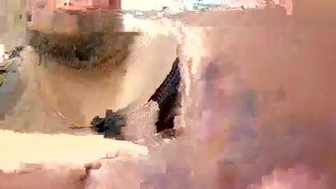 Snapshot of eyyoboobo0 chatting on 03/19/26, 06:12 eyyoboobo0 online show from 03/19/26, 06:12