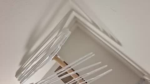 Snapshot of eyyoboobo0 chatting on 04/17/26, 11:08 eyyoboobo0 online show from 04/17/26, 11:08