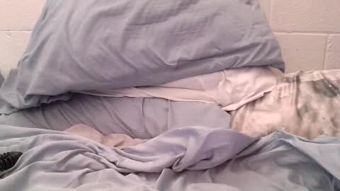 Snapshot of ez37going88 chatting on 04/21/26, 02:12 ez37going88 online show from 04/21/26, 02:12