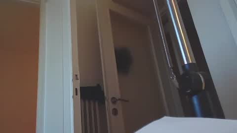 EZCODA online show from 01/14/25, 02:43