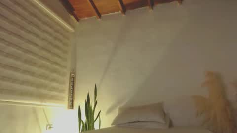 -  A N D E R online show from 01/08/25, 12:28