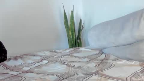 -  A N D E R online show from 01/11/26, 02:00