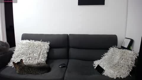 Snapshot of fallgays chatting on 02/22/25, 12:16 FallGays online show from 02/22/25, 12:16