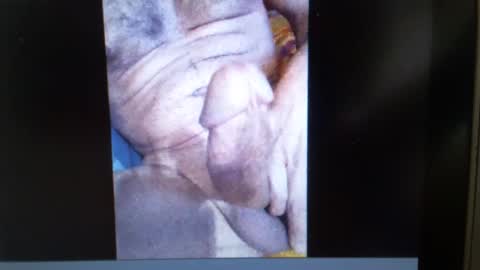 falushp online show from 01/23/25, 09:50