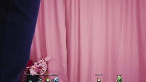 Snapshot of fannygales chatting on 01/05/25, 07:17 Kim online show from 01/05/25, 07:17