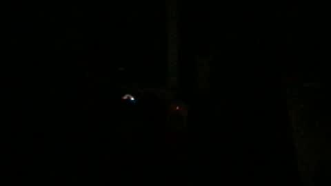 fantasticdeee online show from 01/06/25, 03:20