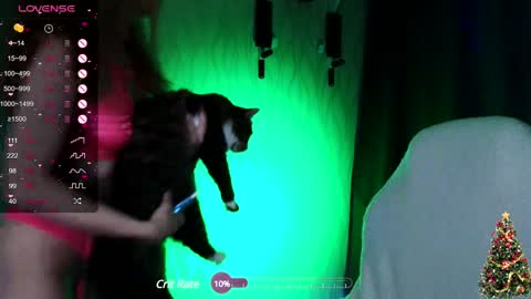 my name is Masha online show from 12/20/24, 09:39