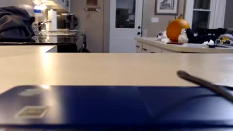 Snapshot of farmgirl__ chatting on 10/11/25, 02:22 FarmGirl and Daddy online show from 10/11/25, 02:22