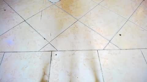 Snapshot of fartech chatting on 09/28/25, 02:44 fartech online show from 09/28/25, 02:44