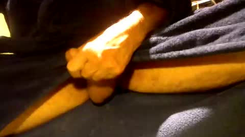 fastoys aka ...what ever.. online show from 03/12/26, 04:24