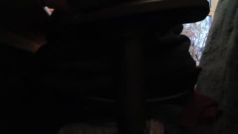 Snapshot of fat_bubble chatting on 10/26/25, 03:51 Fat Bernd online show from 10/26/25, 03:51