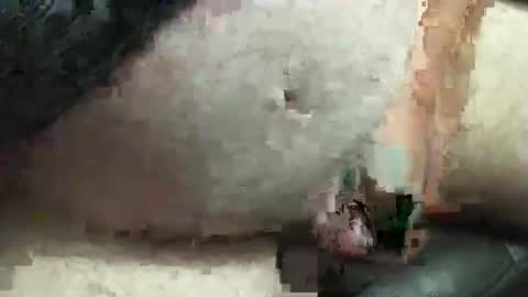 Snapshot of fatdaddy4you chatting on 09/20/25, 03:35 fatdaddy4you online show from 09/20/25, 03:35